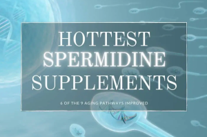 spermidine supplement, anti-aging, longevity, david sinclair