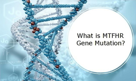 MTFHR GENE TEST